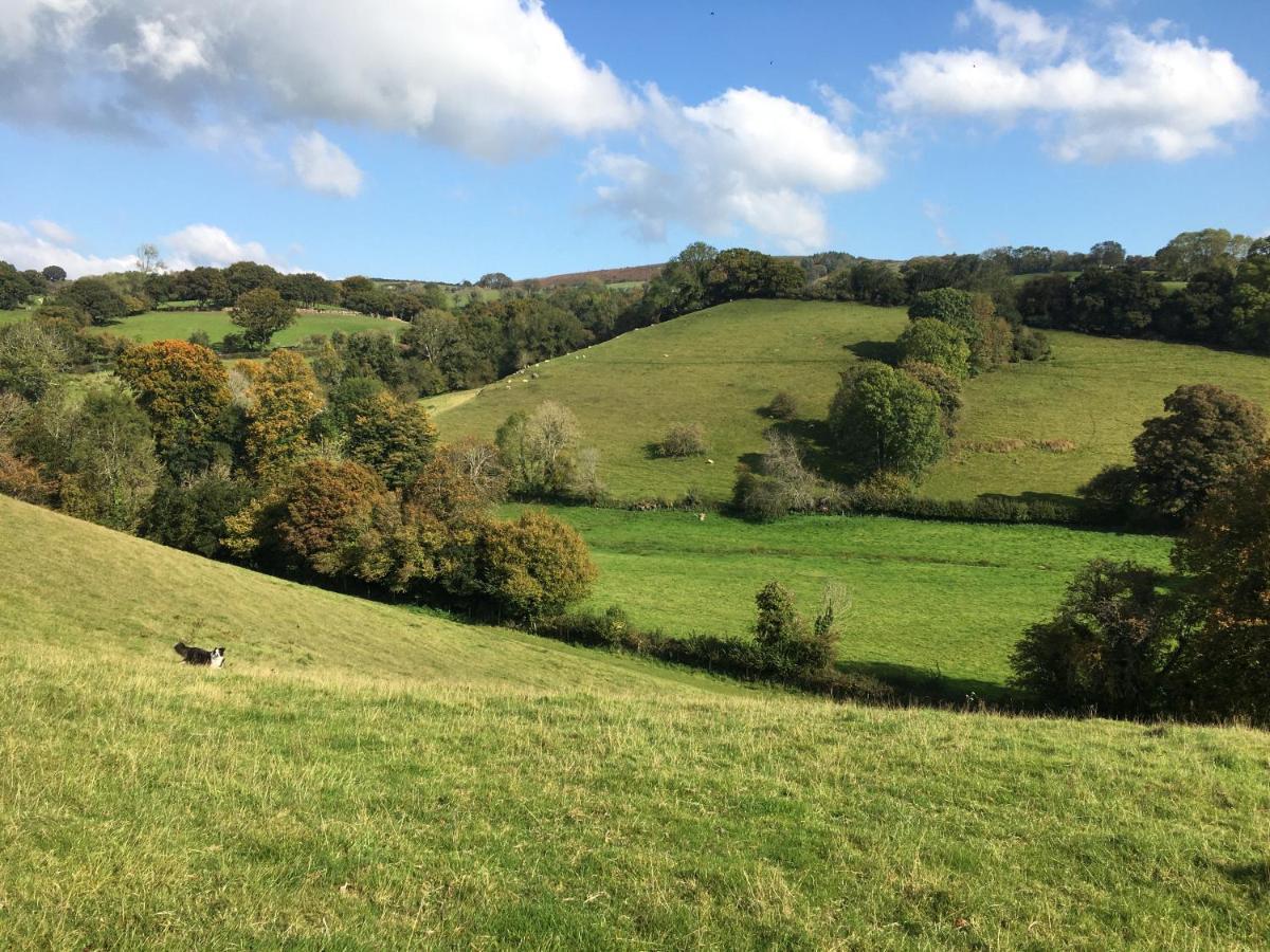 Cookshayes Country Guest House Moretonhampstead Luaran gambar