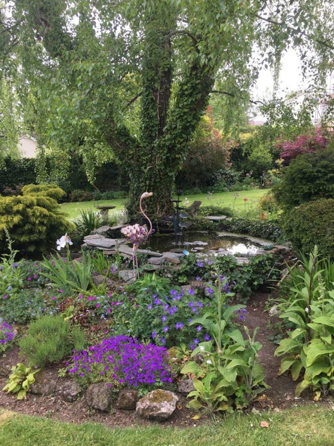 Cookshayes Country Guest House Moretonhampstead Luaran gambar